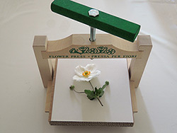 Große Spindel-Blumenpresse Bio